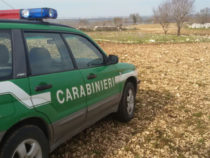 Carabinieri: Festeggiati 200 anni della Forestale