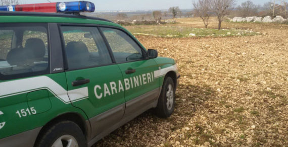 Carabinieri: Festeggiati 200 anni della Forestale