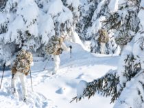 Esercitazione “Blizzard I” del 185° RRAO