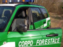 Ministero Difesa favorevole al ritorno del Corpo Forestale