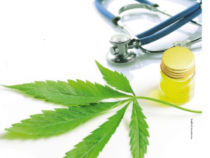 Cannabis Light: l’Italia punta su quella terapeutica