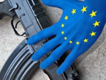 Decreto su regolamento europeo sulle armi in uso ai cittadini