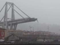 Cronaca: Genova, crolla una parte del ponte Morandi sulla A10