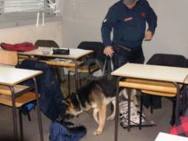 Piano straordinario del governo contro lo spaccio nelle scuole
