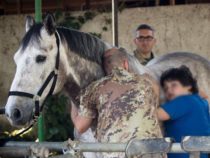 Salute: Esercito e Pet Therapy insieme