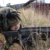 Trident Juncture 2018:Norvegia, completato dispositivo militare