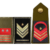 Le nuove qualifiche di Primo Luogotenente e Serg. Mag. Capo Q.S. C – Cap. Magg. C.S.Q.S.