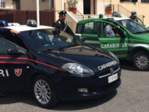 Accorpamento Forestale Carabinieri: Attesa sentenza Consulta