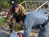 Ambiente: Esercito e Forze di Polizia, “Action Day” in Terra dei Fuochi