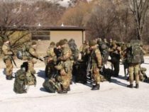 Forze Armate: Costi, Meno personale e più addestramento