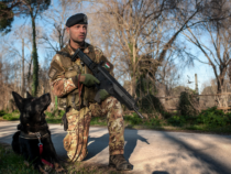 Storia di un graduato al proprio cane cinofilo