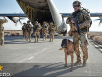 Cani militari: Pensione e cassa sanitaria dopo 8 anni di servizio