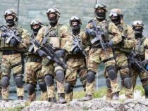 Intervista: Forze Speciali, Parla il Colonnello Andrea Vicari