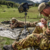 Unità operative dell’Esercito Italiano: Conclusa la settimana dedicata all’addestramento dei tiratori scelti