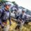 Kosovo sotto attacco, lo dice la presidente Kosovara