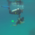 Porto Venere: 71 subacquei disabili insieme al Comsubin