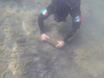 Marina Militare: Continuano le opere di bonifica dei palombari