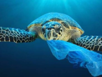 Ambiente: Marina Militare e UNIBA insieme per salvare il mare dalla plastica