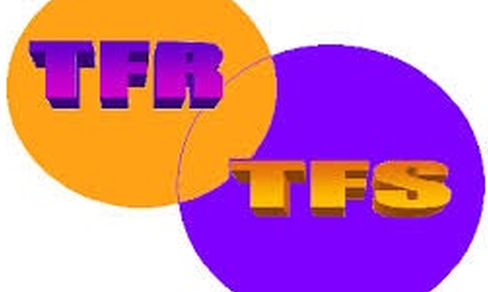 TFS/TFR: nuovo rinvio alla consulta per dilazione