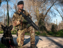 Cani militari: I soldati potranno tenere i loro amici a quattro zampe che vanno in pensione