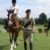 Esercito: Sei Lancieri di Montebello diventano operatori di riabilitazione equestre