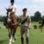 Esercito: Sei Lancieri di Montebello diventano operatori di riabilitazione equestre