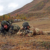 Esercito: Conclusa esercitazione internazionale per tiratori scelti denominata “Low Blow”