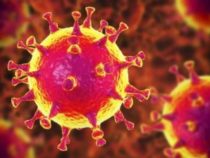 Emergenza Coronavirus: Gli scenari della “seconda ondata”