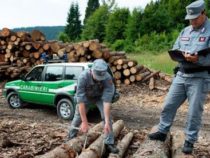 Corpo Forestale: Secondo la CEDU (Corte Europea dei Diritti dell’Uomo) l’accorpamento nei Carabinieri è illegittimo