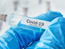 Vaccino anti Covid-19: Le linee guida di Governo, Iss, Aifa ed Agenas per l’avvio della campagna vaccinale