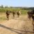 Esercito: L’Esercitazione “Marte 02/2020” dei Diavoli Gialli