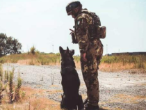Giornata internazionale del cane: Foto dolcissime di Forze Armate e Polizia ai colleghi a 4 zampe