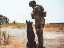 Bologna: Cinofili dell’Esercito, Carabinieri e della Polizia di Stato alla manifestazione canina “Attacchi di Design”