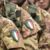 Costituzione italiana: L’Italia in caso di guerra, chi verrebbe chiamato alle armi e chi potrebbe rifiutarsi