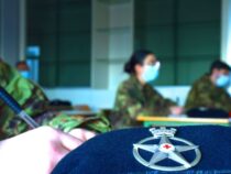 Esercito Italiano: Ricerca di medici e infermieri militari contro il Covid-19