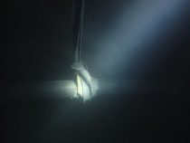 Mare di Norvegia: Scomparsi diversi chilometri di cavi per la sorveglianza sottomarina