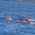 Sport: Impresa degli atleti GSPD che attraversano lo stretto di Messina
