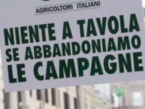 Attualità: sempre più attiva la protesta degli agricoltori