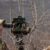 Difesa: completato l’addestramento dell’Esercito in Bulgaria