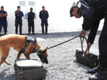 Missioni Estero: i Carabinieri addestrano le unità cinofili di Gibuti